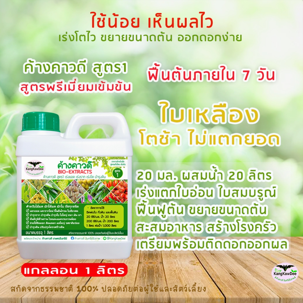 ใบเหลือง โตช้า ไม่แตกยอด ไม่ติดดอกไม่ออกผล ดอกร่วง ผลร่วง (ค้างคาวดี สูตร 1, สูตร 2, สูตร 3) ขนาด 1 ลิตร