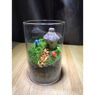 ตู้ไม้ชื้นระบบปิด ชุดมินิ Terrarium DIY FOR KIDS สวนขวด น้ำตก มอส ของแต่งบ้าน