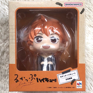 [พร้อมส่ง] LookUp Shoyo Hinata - Haikyu!! / นั่ง จ๋อง ฮินาตะ look up