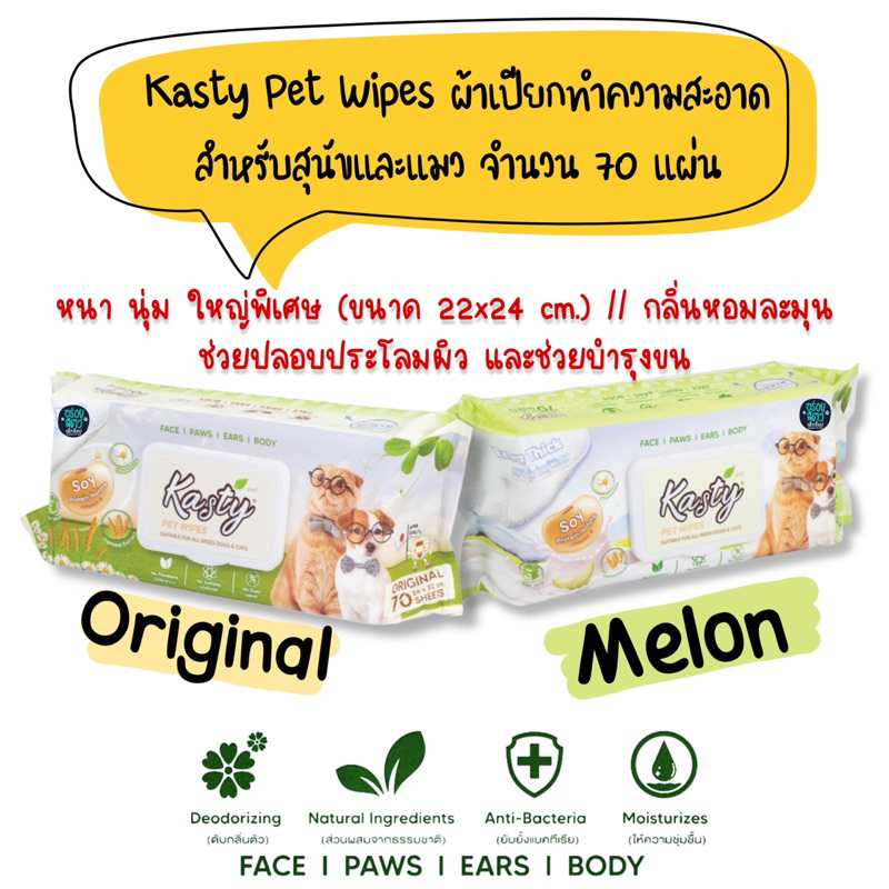 Kasty Pet Wipes ผ้าเปียกเช็ดทำความสะอาด สำหรับสุนัขและแมว ขนาดแผ่น 24 x 22 ซม. (70 แผ่น/ แพ็ค)