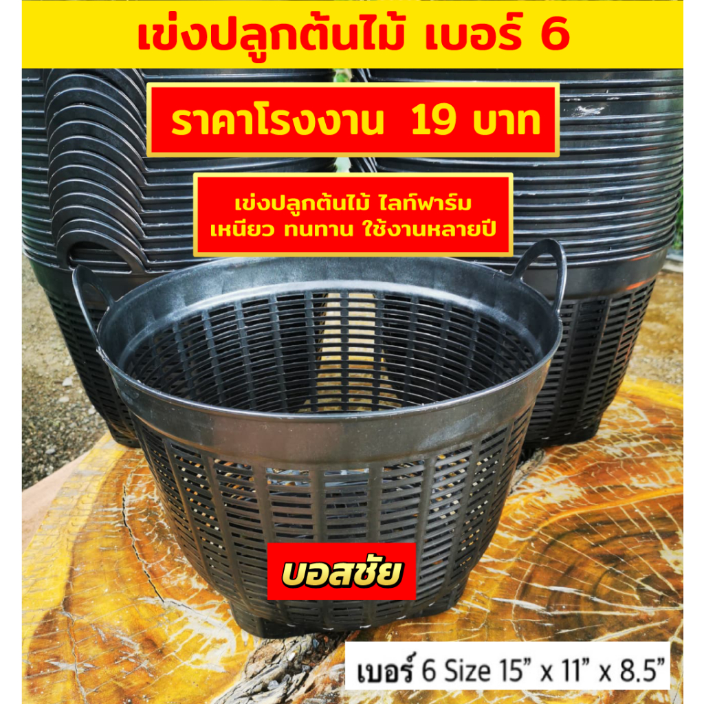 !!แพ็ค 10 ใบ!! เข่งพลาสติก เบอร์ 6 กว้าง 15 นิ้ว เข่งปลูกต้นไม้ เข่งผลไม้ เข่งปลูกผัก ผลไม้