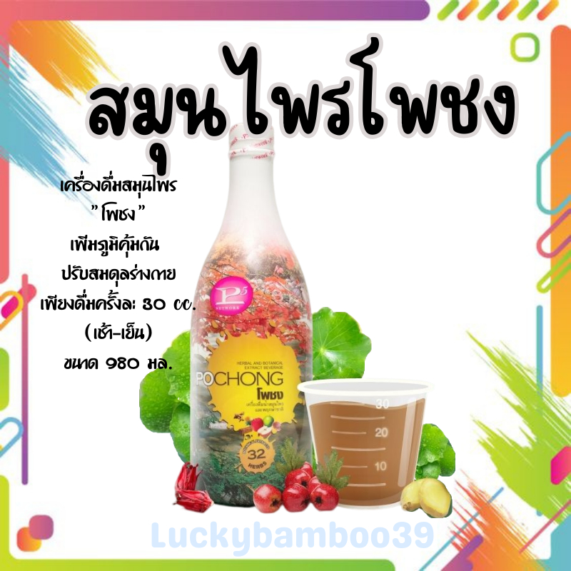สมุนไพรโพชง POCHONG (1 ขวดใหญ่) ขนาด 980 มล. สมุนไพร เพื่อสุขภาพของผู้สูงอายุ