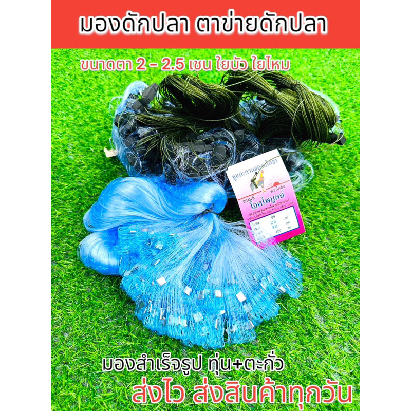 (หัวใหญ่ยาว 120 เมตร) ฟรีถุงใส่ปลา ตาข่ายดักปลา มองดักปลา มองสำเร็จรูปพร้อมใช้งาน มองใยบัวเอ็นเบอร์ 0.09มีทุ่นมีตะกั่ว ราคา ถูกที่สุด ดีลบีเคเค