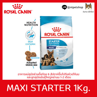 Royal Canin Maxi Starter 1 KG อาหารสำหรับแม่สุนัขขนาดใหญ่และสำหรับลูกสุนัข ขนาด 1 กิโลกรัม