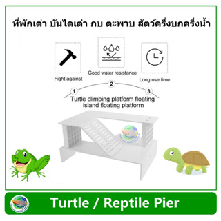 Tuttle / Reptile Pier บันได ที่พักลอยน้ำได้ สำหรับ เต่า กบ ตะพาบ สัตว์ครึ่งบกครึ่งน้ำ