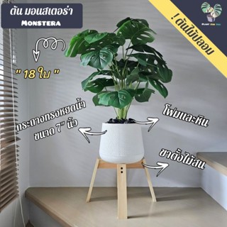 ต้นไม้ปลอมเกรดพรีเมี่ยม (fake tree) ต้นมอนสเตอร่า ปลอม (Monstera) 70cm. 18ใบ  ครบชุดพร้อมโชว์