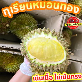 ทุเรียนจันทบุรีเนื้อพรีเมียม ยอดขายเยอะที่สุดทุเรียนหมอนทอง คัดเนื้อเทพไม่เน้นทรง เนื้อเหลือง เนื้อตลาดที่คนไทยกิน