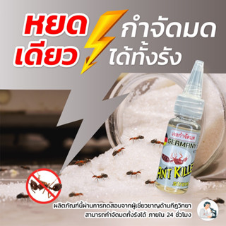 กำจัดมด มดตายยกรัง #GERMANY ANT KILLER  #ANT BAIT #กำจัดมด #ยาฆ่ามด  #ยากำจัดมด #ตรารถราง