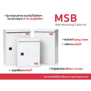 ตู้ไฟสวิทช์บอร์ดกันน้ำกันฝุ่น MSB ประตู1 ชั้น ฝาทึบ มีหลังคา  รุ่น FT-MS-MSB