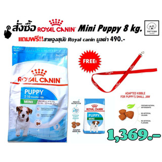 Royal Canin Mini Puppyอาหารสุนัขแบบเม็ด สำหรับลูกสุนัขพันธุ์เล็กอายุ 2-10 เดือน (ขนาด 8 kg)หมดอายุ 13-7-24