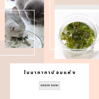 ใบมาทาทาบิอบแห้ง Cat’s Wild Herbs