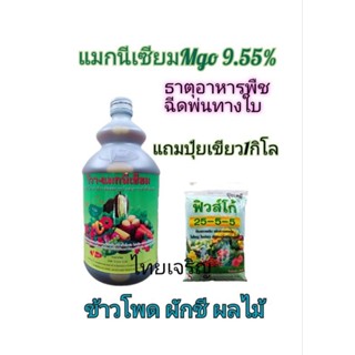 ปุ๋ยน้ำฉีดพ่นทางใบธาตุอาหารพืช แมกนีเซียม9.55%แถมปุ๋ยเขียว1กิโล ช่วยการเข้าสี สีสด สีสวย ขวด1ลิตร
