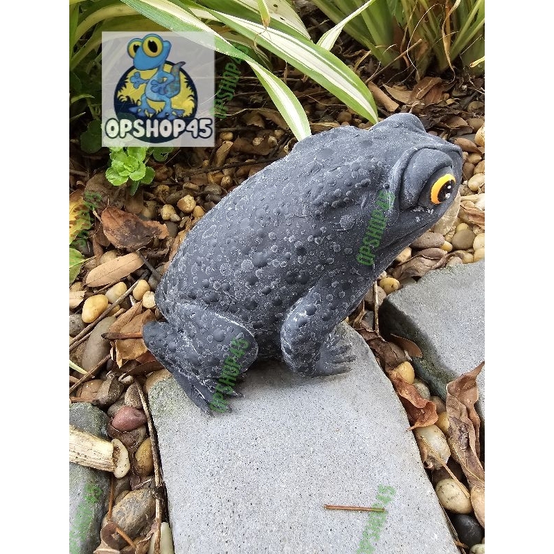 คางคกปลอม จากยางพารา