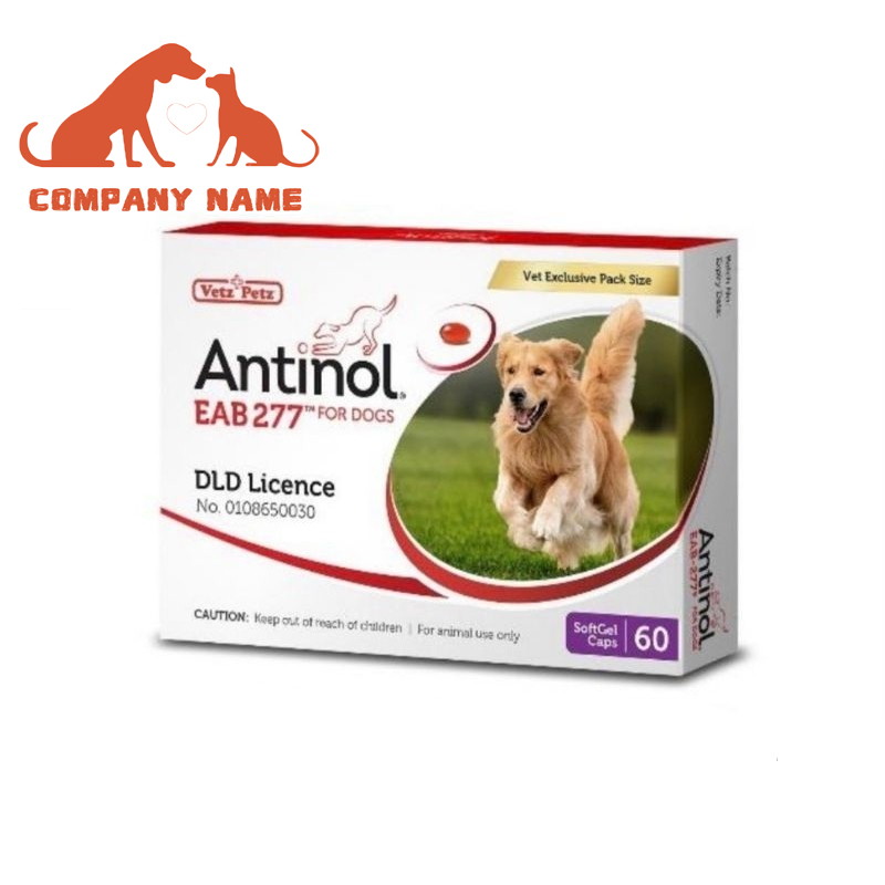 Antinol DOG ช่วยบำรุงข้อ กระดูก ขน ผิวหนัง และไต(1 กล่อง 60 caps) สำหรับสัตว์เลี้ยง EXP.03/2025🐾🐾🐾🐕🐕