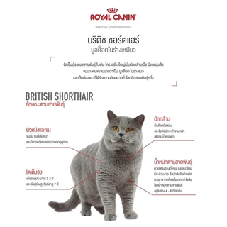 Royal Canin Adult British short hair 4kg อาหารแมวโต พันธุ์บริติช ชอร์ตแฮร์ 4 kg
