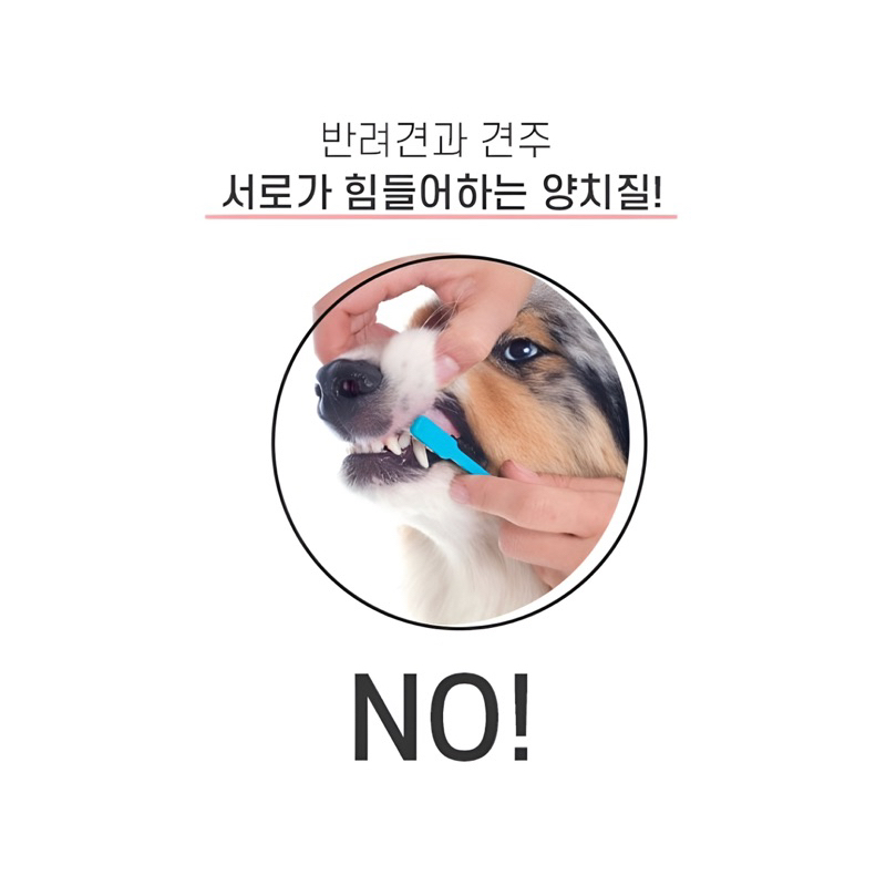 ขนมขัดฟันสุนัข Dental IS นำเข้าจากเกาหลี Breeder Labs รูปที่ 5