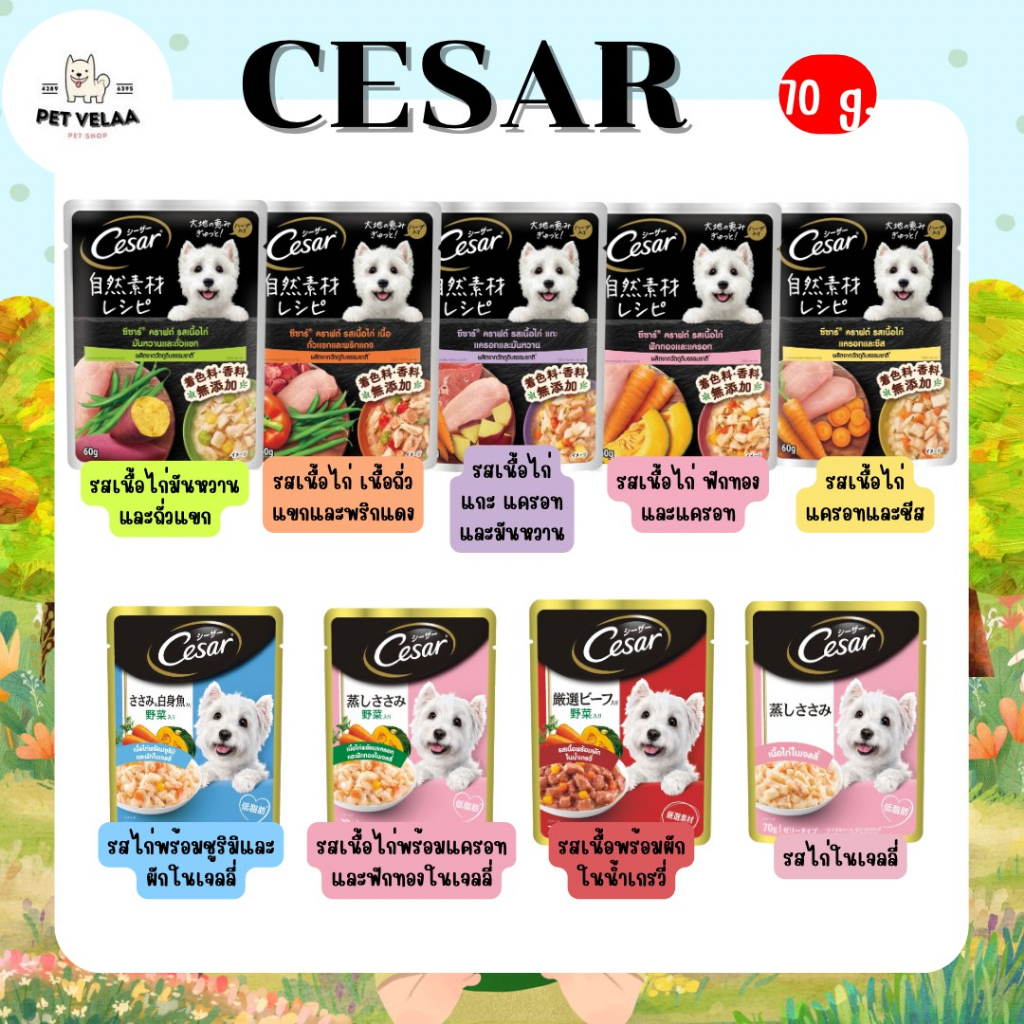 CESAR ซีซาร์ อาหารสุนัขแบบเปียก ขนาด 70g. จำนวน 1 ซอง