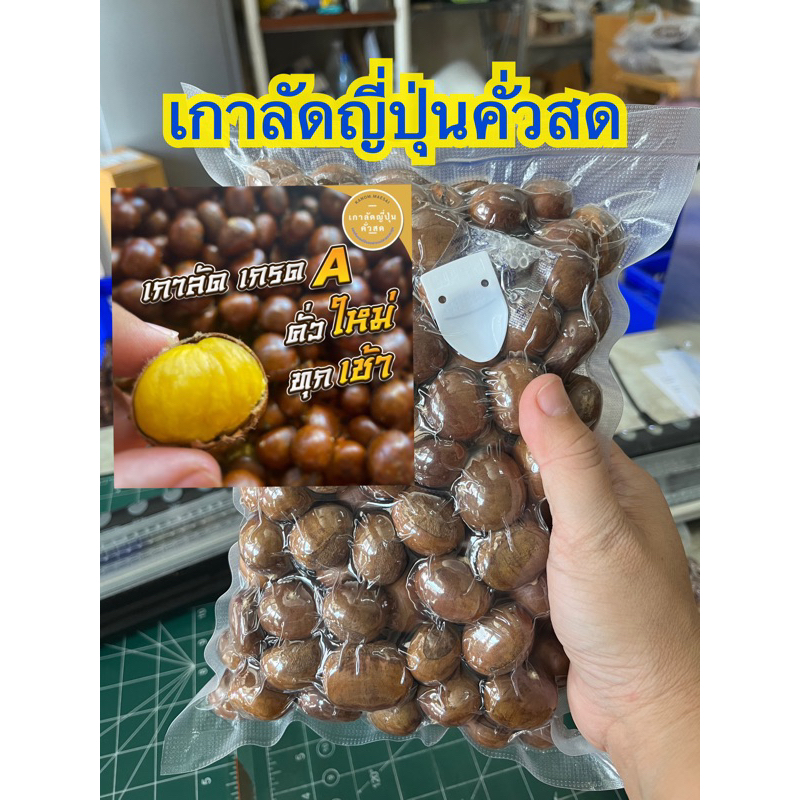 เกาลัดญี่ปุ่น คั่วสด เกรดA  1 kg. + แถมที่แกะพร้อม แพ็คสูญญากาศ คั่วใหม่ทุกวัน