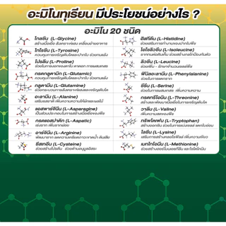 อะมิโนทุเรียน ขนาด 1 ลิตร สำหรับทุเรียนโดยเฉพาะ เข้มข้นสูง แอลอะมิโนแท้