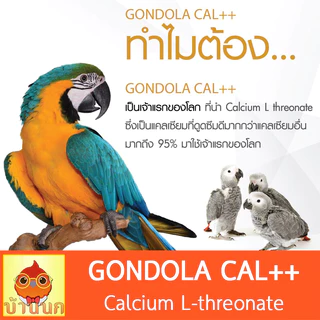 แคลเซียมนก l Gondola Cal++ l อาหารเสริมนก นกแก้ว parrot อาหารนก ลูกนก ลูกป้อน