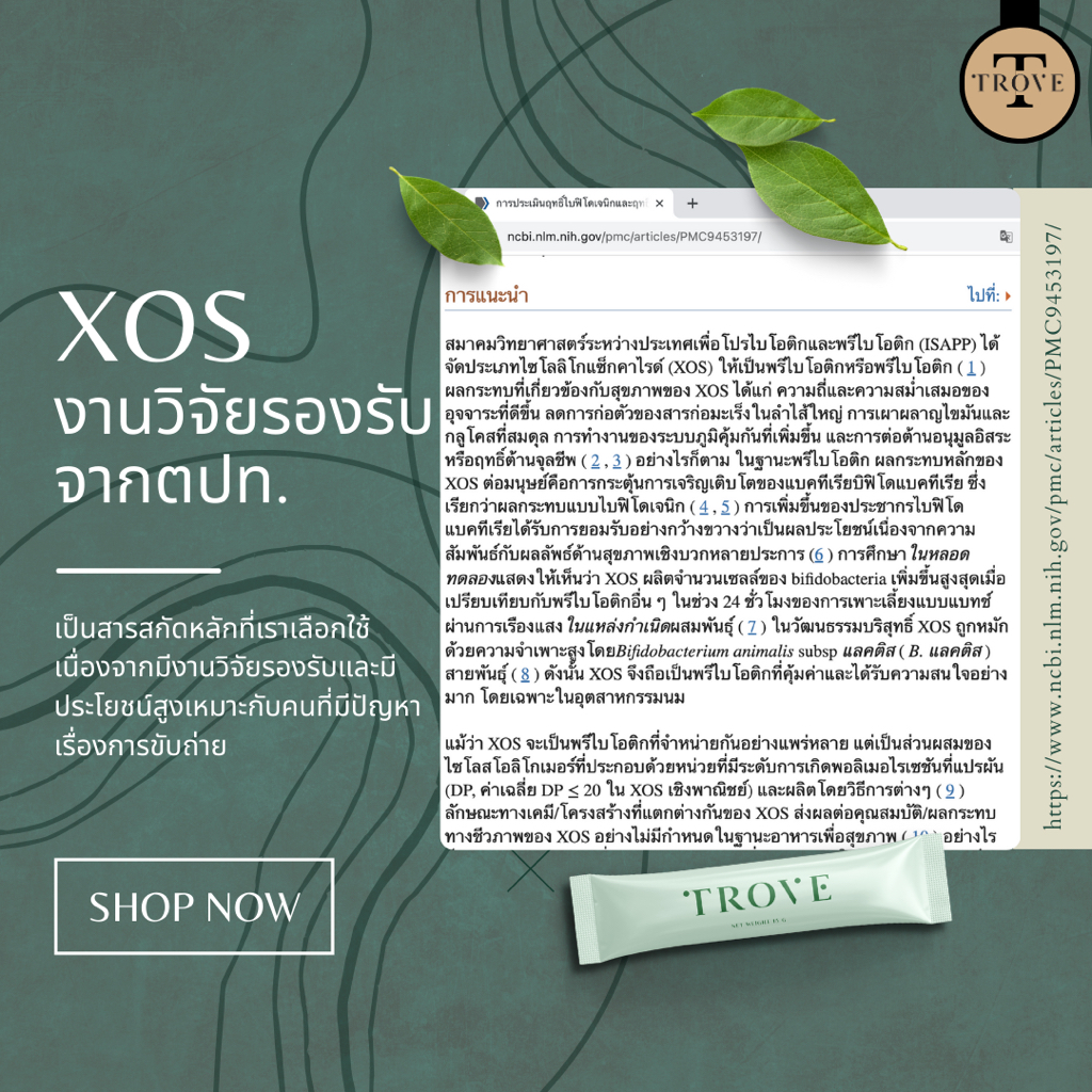 Trove Green Apple Fiber ไฟเบอร์ ดีท็อก 1 กล่อง บรรจุ 10 ซอง - รูปที่ 2