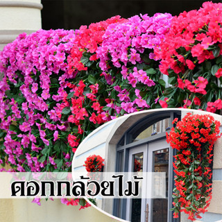 🌺จัดส่งไว🌺ดอกกล้วยไม้ปลอม ตกแต่งผนัง ตกแต่งกำแพง ตกแต่งสวน