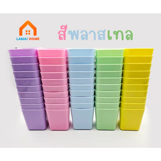 แพค 10 ชิ้น กระถางต้นไม้ กระถางแคคตัส ขนาด 2 นิ้ว