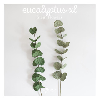 POSIE Eucalyptus XL Artificial Flower โพซี่ ใบยูคาลิปตัส ขนาดใหญ่