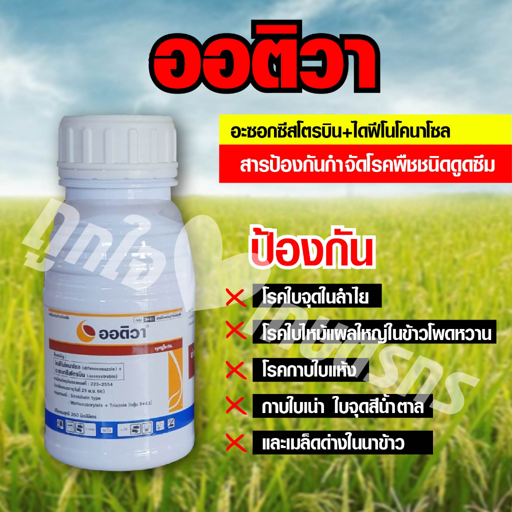 ออติวา 250 ซีซี / 500 ซีซี สารไดฟีโนโคนาโซล+อะซอกซีสโตรบิน สารป้องกันกำจัดโรคพืช