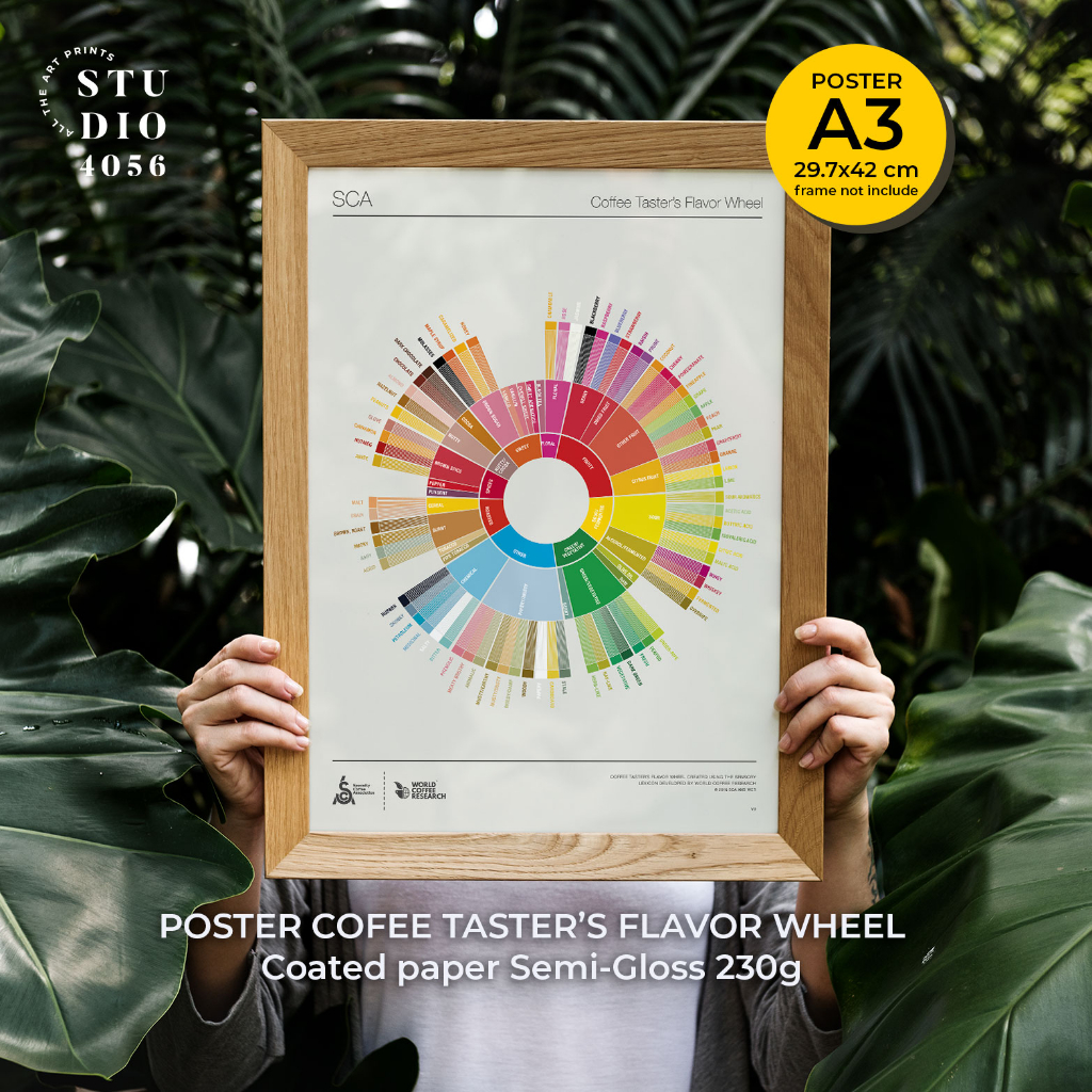 THE COFFEE TASTER'S FLAVOR WHEEL POSTER SCA (002) size A3 Unframed!