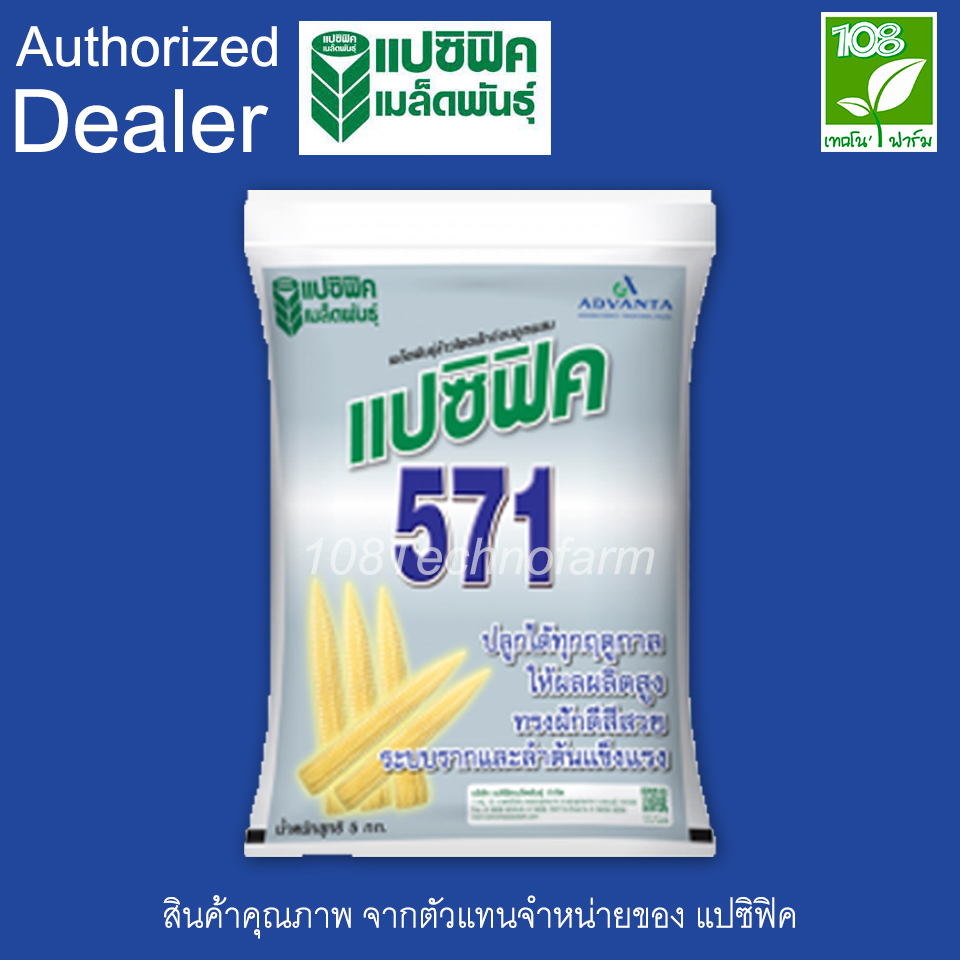 เมล็ดพันธุ์ข้าวโพดฝักอ่อน 571 (5 กิโลกรัม)