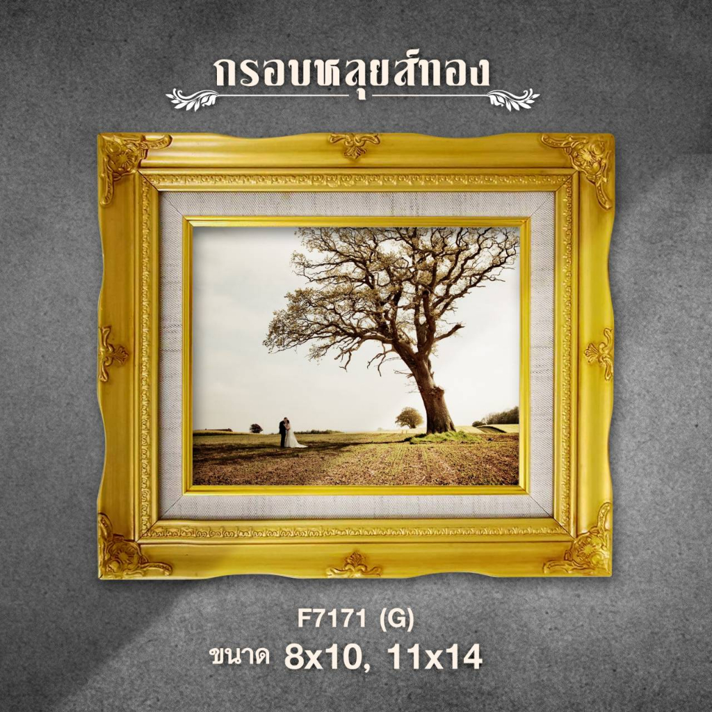 ภาพพร้อมกรอบ กรอบหลุยส์ทอง หลุยส์ขาว หลุยส์มุก  ขนาด 8x10-12x15-11x14 นิ้ว (ราคาโปรโมชั่น)