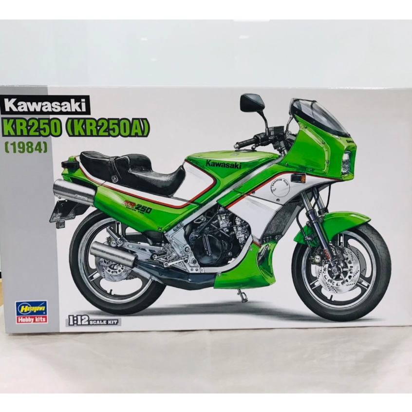 Hasagawa  kawasaki KR250 (KR250A) 1984 1/12 Scale kit
