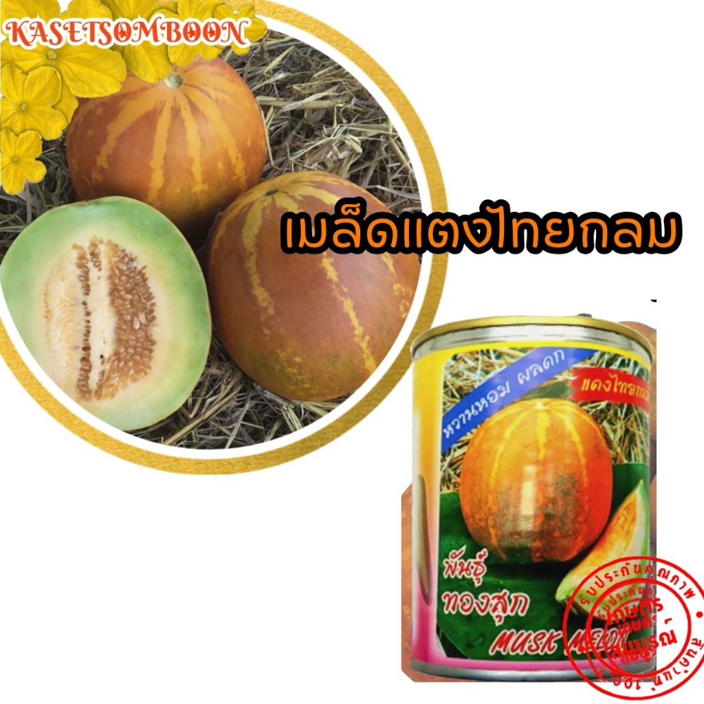 แตงไทยกลม ทองสุก เมล็ดพันธุ์ 30 ก. ตราต้นไผ่ ทรงผลกลมเนื้อละเอียด กลิ่นหอม ติดผลดก งอกดี ปลูกได้ทุกฤดู
