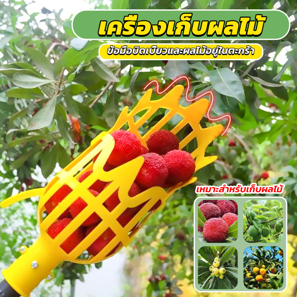 ตะกร้อเก็บผลไม้  เครื่องมือทำสวน   Fruit picking