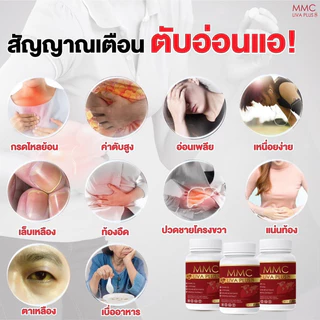 เซต 3 กระปุก อาหารเสริมบำรุงตับ MMC LIV Plus กระปุกละ 20 เม็ด