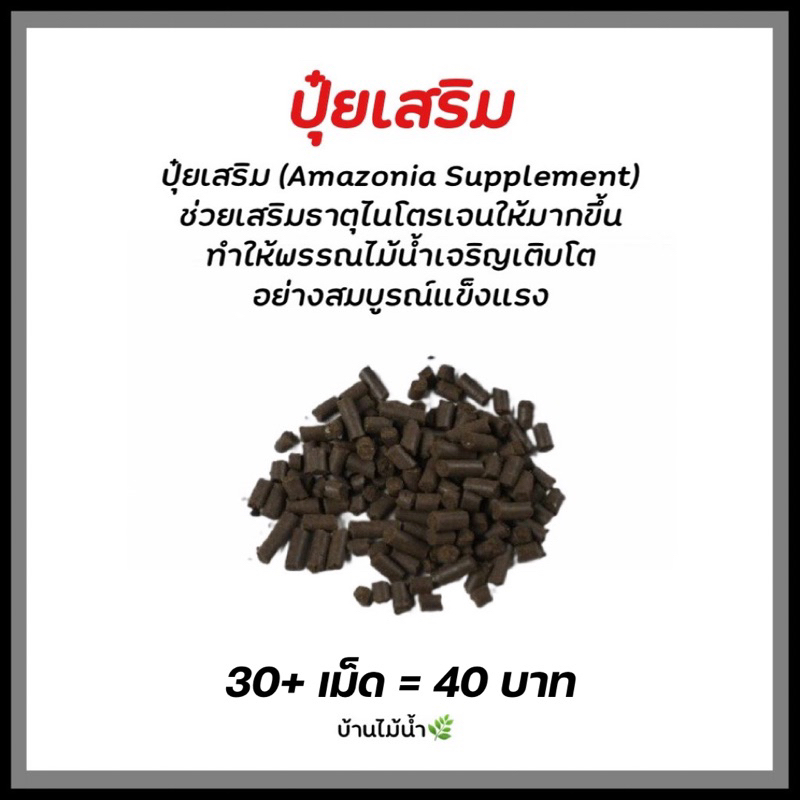 แบ่งขายดิน ADA ของแท้!! 0.3 0.5 0.7 1 ลิตร ดินปลูกไม้น้ำ ดินไม้น้ำ ปุ๋ยเสริม แบรนด์แท้จากญี่ปุ่น | บ้านไม้น้ำ🌿 - รูปที่ 5