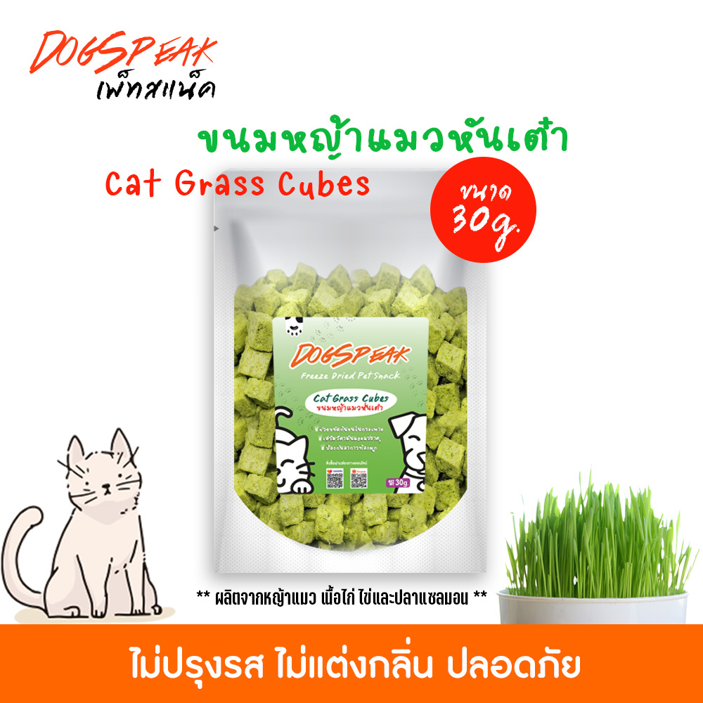 NEW พร้อมส่ง ขนมหญ้าแมวหั่นเต๋า (Cat Grass Cubes) สำหรับน้องแมว