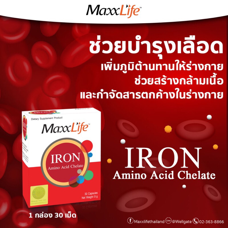 Iron Amino Acid Chelate MaxxLife ช่วยเพิ่มภูมิต้านทานให้ร่างกาย (ขนาด 30 เม็ด)