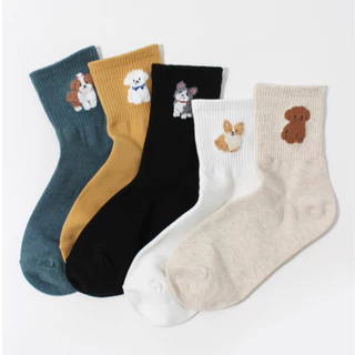 Chacha socks - ถุงเท้าข้อยาว Doggy Club ถุงเท้านำเข้าจากเกาหลี ถุงเท้าเกาหลี