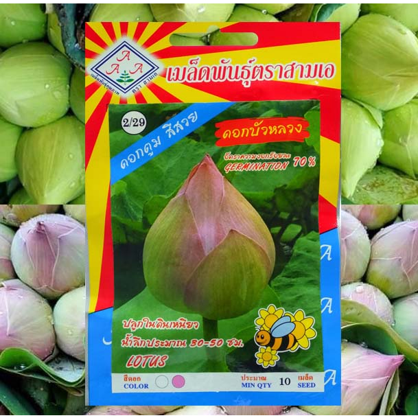 เมล็ดดอกบัวหลวงคละสี​ ขาวและชมพู​ 10  เมล็ด
