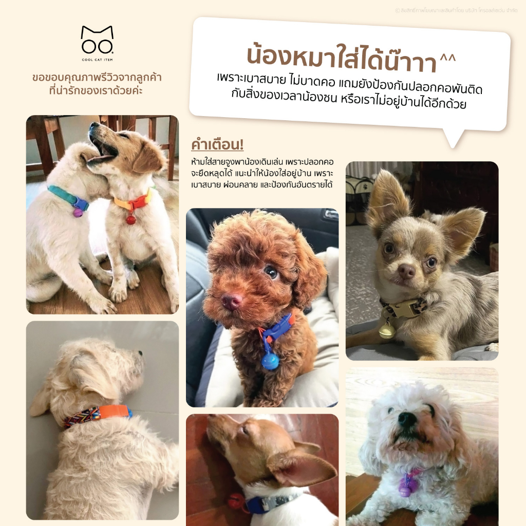 ปลอกคอแมวนิรภัย ยางยืด รุ่น Safe & Soft : เซตสีฟ้า - รูปที่ 2