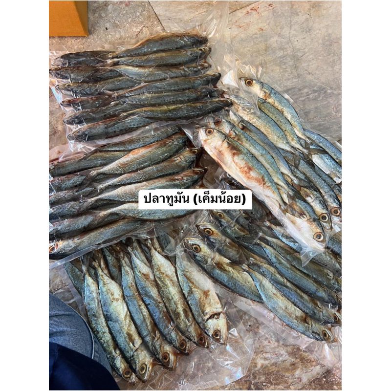 ปลาทูมัน ปลาทูฟิต เค็มน้อย อาหารทะเลแห้ง ของฝากจากระยอง