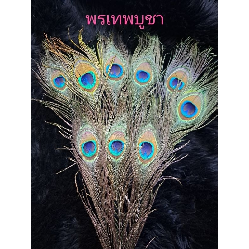 ขนนกยูง ถวายองค์เทพ ตกแต่งประดับองค์เทพ 1ชุดมี9เส้นความยาว15-20ซม