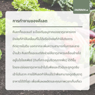 100G/500G สังกะสีคีเลต Zn-EDTA จุลธาตุสังกะสี 15%Zn ช่วยให้พืชทนทานต่อสภาพอากาศ / Zinc micronutrient 15%Zn - Chemrich