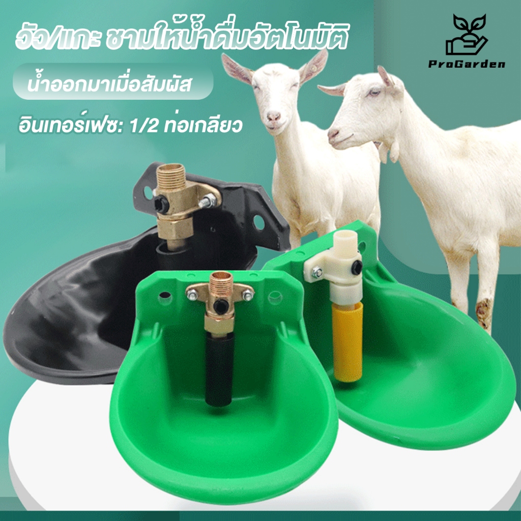 PG.🐴ถ้วยให้น้ำวัว  วัว/แกะ ชามให้น้ําดื่มอัตโนมัติ  ความจุ 1L ต่อท่อน้ำ 4หุน (1/2") วาล์ว​ทองเหลือง