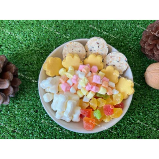 🐹🍪ขนมสำหรับสัตว์เลี้ยง อาหารเสริมเเทะเล่นลับฟัน สำหรับสัตว์ฟันเเทะ