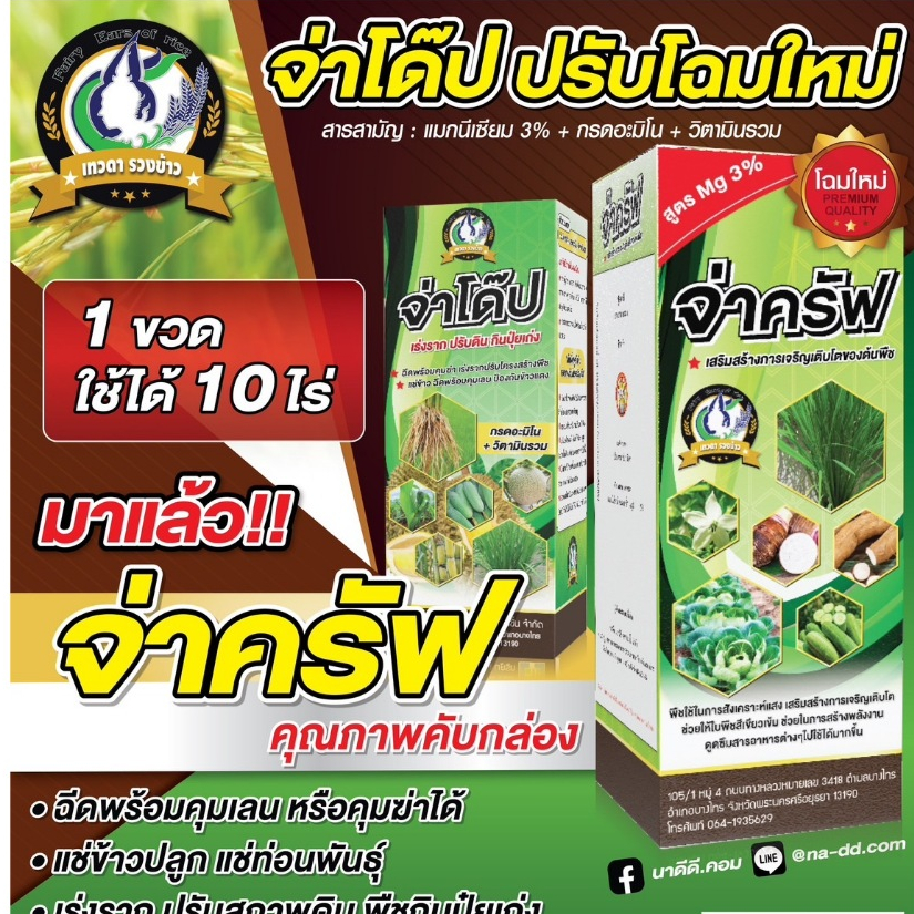 จ่าครัฟ จ่าโด๊ฟ น้ำยาเร่งราก  จ่าครัฟ(จ่าโด๊ป) 1 ลิตร แช่พันธุ์ข้าว ท่อนมัน ลาดถาดเพาะกล้าเร่งการแตกใบอ่อน