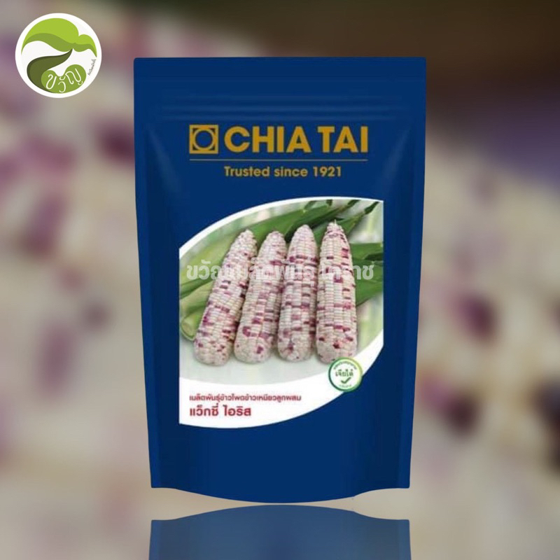 เมล็ดพันธุ์ข้าวโพดข้าวเหนียว แว็กซี่ ไอริส ลอตใหม่ล่าสุด ถึงวันที่ 20พฤษจิกายน 2567 *ซื้ิอไซร์กิโล1กิโล แถม200กรัม