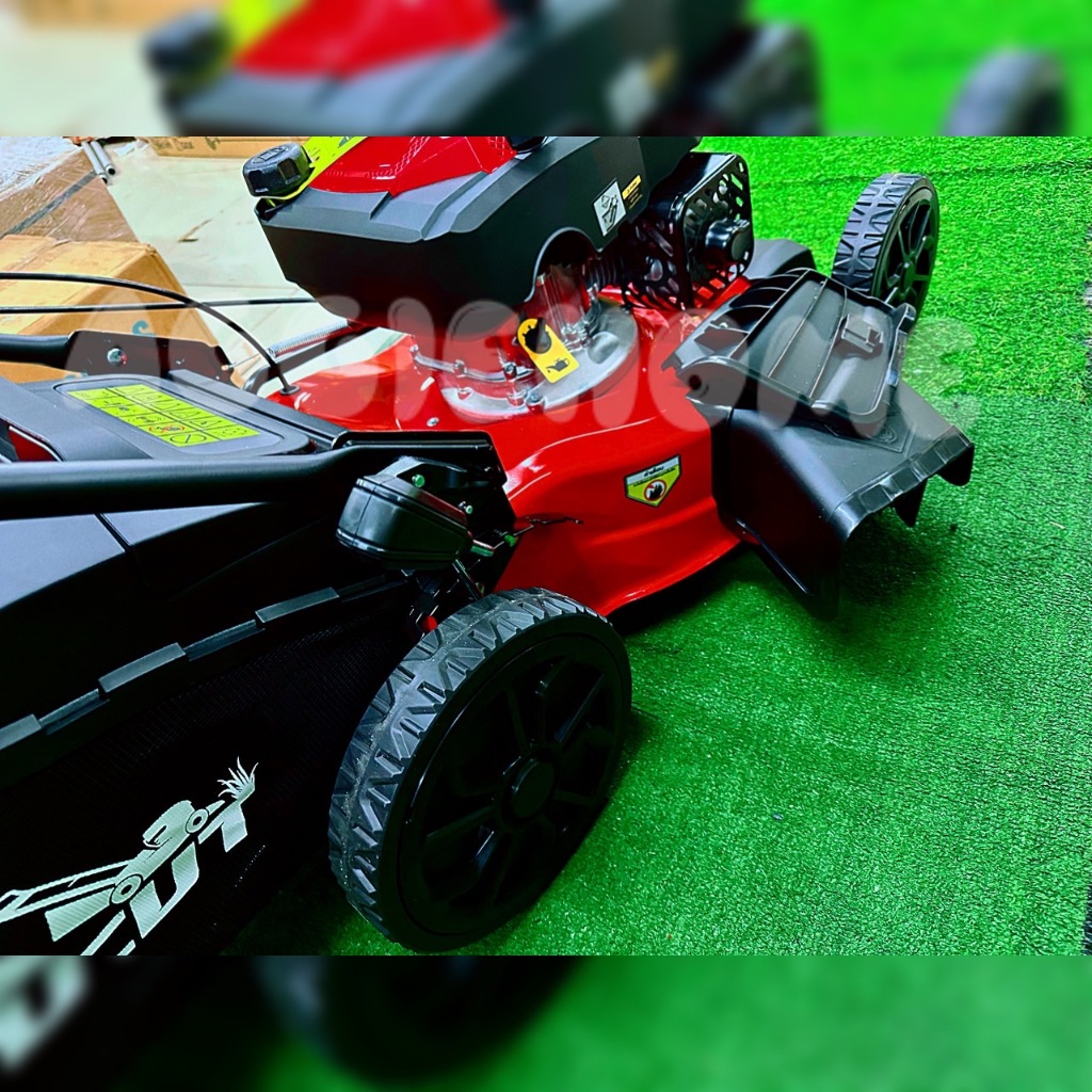 Thumbnail 7